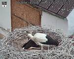 Capi_Dubne_20260718_202503.jpg