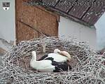 Capi_Dubne_20260718_203003.jpg