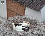 Capi_Dubne_20260718_203502.jpg