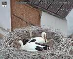 Capi_Dubne_20260718_204003.jpg