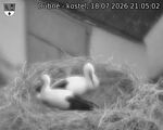 Capi_Dubne_20260718_210502.jpg