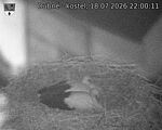Capi_Dubne_20260718_220011.jpg