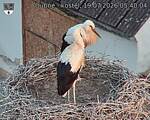 Capi_Dubne_20260719_054004.jpg