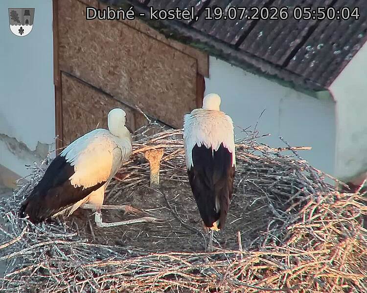 preload