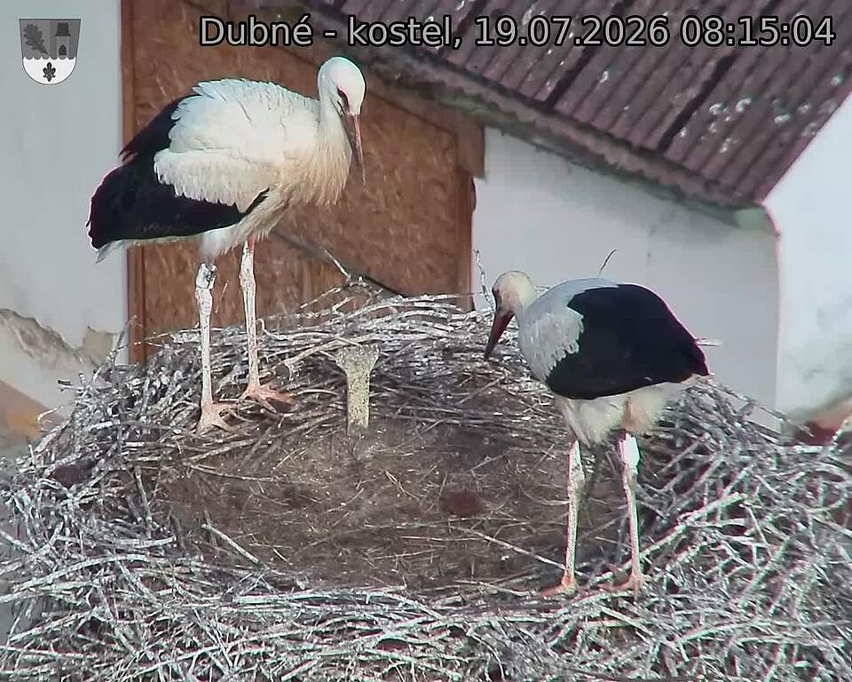 preload