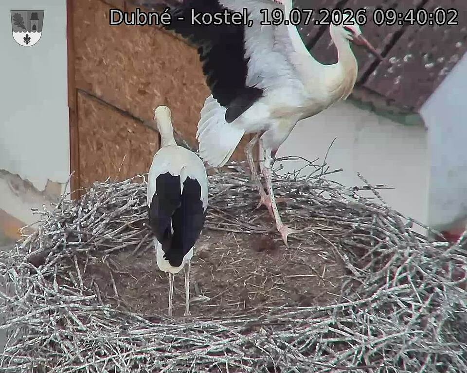 preload