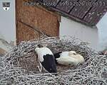 Capi_Dubne_20260719_100003.jpg