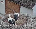 Capi_Dubne_20260719_102004.jpg