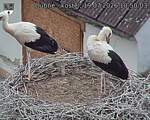 Capi_Dubne_20260719_105003.jpg