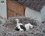 Capi_Dubne_20260719_115503.jpg