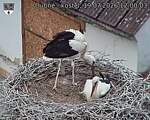 Capi_Dubne_20260719_120003.jpg