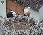 Capi_Dubne_20260719_120502.jpg