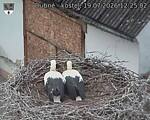 Capi_Dubne_20260719_122502.jpg