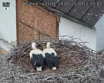 Capi_Dubne_20260719_123002.jpg