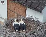 Capi_Dubne_20260719_123504.jpg