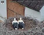 Capi_Dubne_20260719_124003.jpg