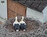 Capi_Dubne_20260719_124503.jpg