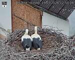 Capi_Dubne_20260719_125004.jpg