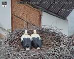 Capi_Dubne_20260719_125504.jpg
