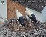 Capi_Dubne_20260719_130504.jpg