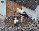 Capi_Dubne_20260719_132504.jpg