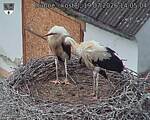 Capi_Dubne_20260719_140504.jpg
