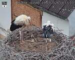 Capi_Dubne_20260719_141503.jpg