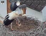 Capi_Dubne_20260719_142004.jpg