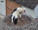 Capi_Dubne_20260719_144004.jpg