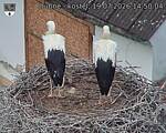Capi_Dubne_20260719_145004.jpg