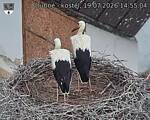 Capi_Dubne_20260719_145504.jpg