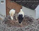 Capi_Dubne_20260719_150004.jpg
