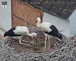 Capi_Dubne_20260719_151004.jpg