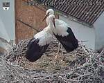 Capi_Dubne_20260719_154504.jpg