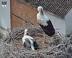 Capi_Dubne_20260719_155004.jpg