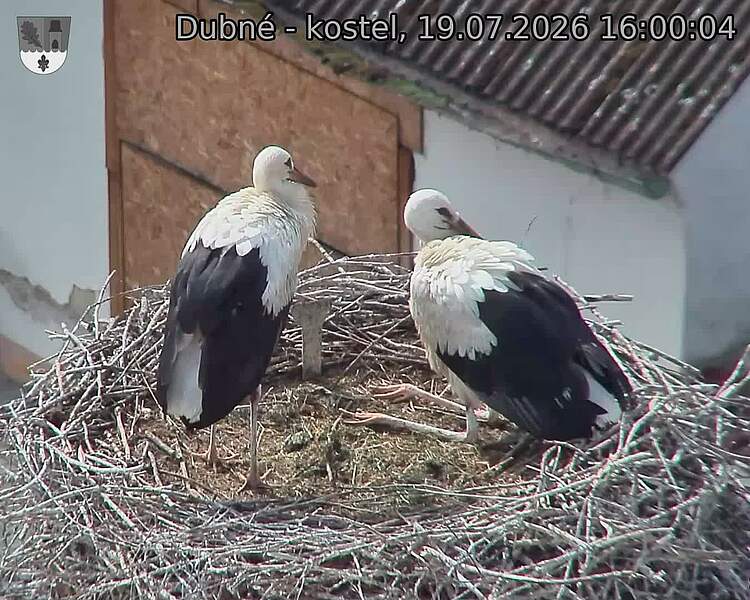 preload