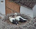 Capi_Dubne_20260719_161504.jpg