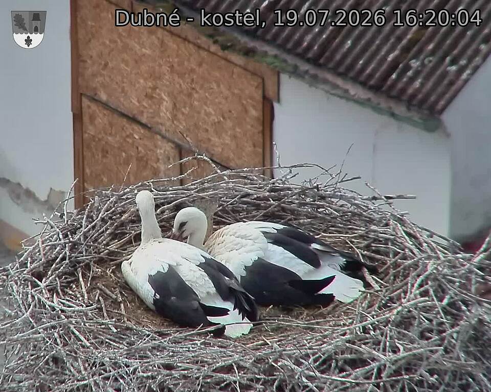 preload