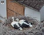 Capi_Dubne_20260719_162004.jpg