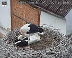 Capi_Dubne_20260719_163003.jpg