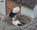 Capi_Dubne_20260719_164504.jpg