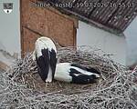 Capi_Dubne_20260719_165503.jpg
