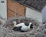 Capi_Dubne_20260719_172003.jpg