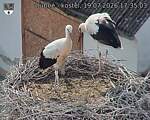 Capi_Dubne_20260719_173503.jpg