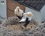 Capi_Dubne_20260719_175003.jpg