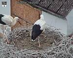 Capi_Dubne_20260719_180002.jpg