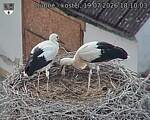 Capi_Dubne_20260719_181003.jpg