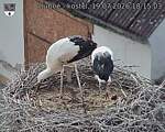 Capi_Dubne_20260719_181503.jpg