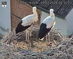 Capi_Dubne_20260719_183503.jpg