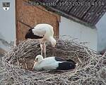 Capi_Dubne_20260719_184004.jpg
